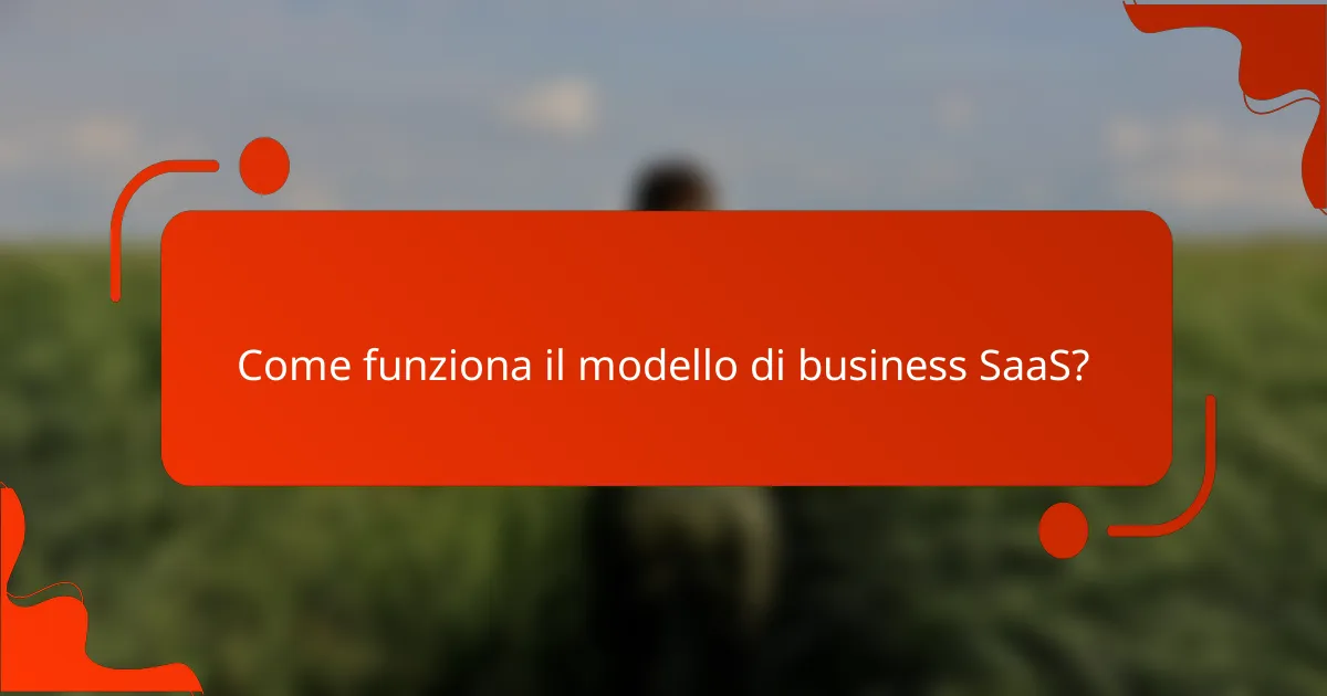 Come funziona il modello di business SaaS?