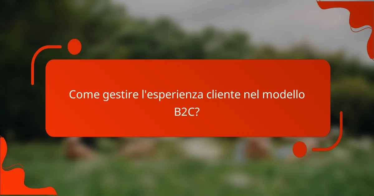 Come gestire l'esperienza cliente nel modello B2C?