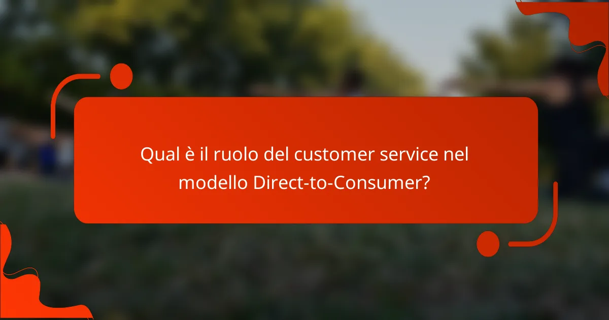 Qual è il ruolo del customer service nel modello Direct-to-Consumer?