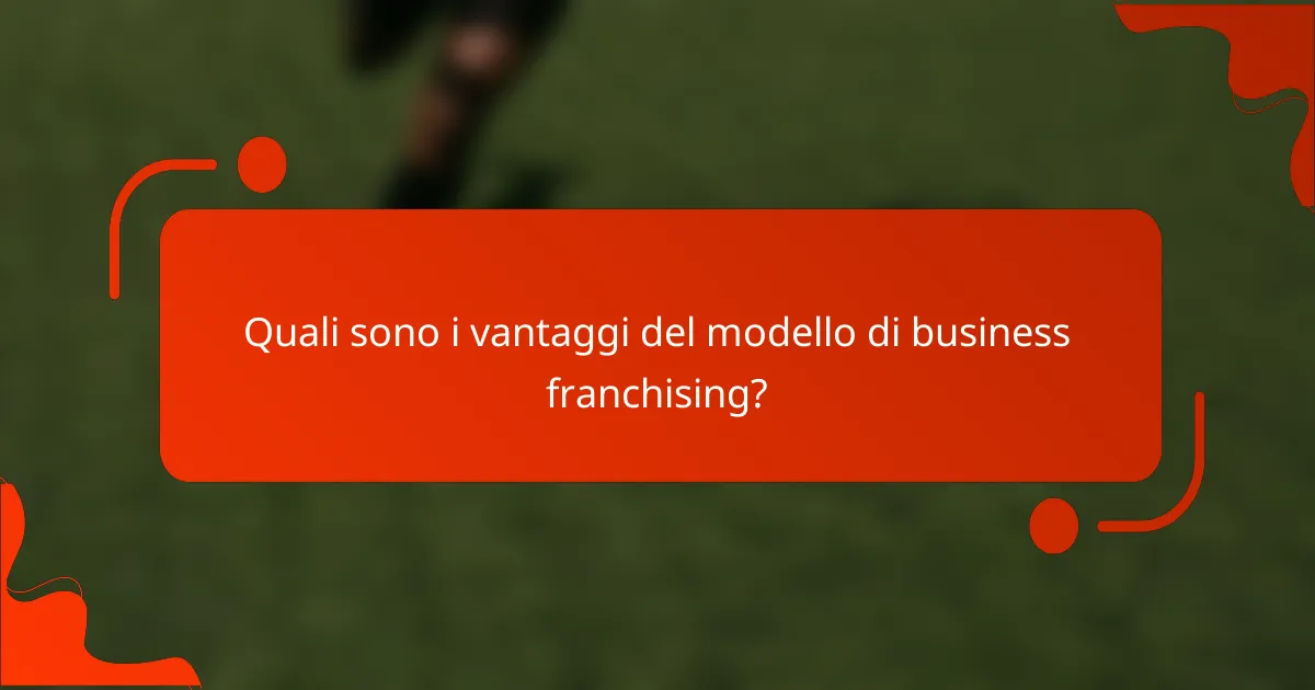 Quali sono i vantaggi del modello di business franchising?