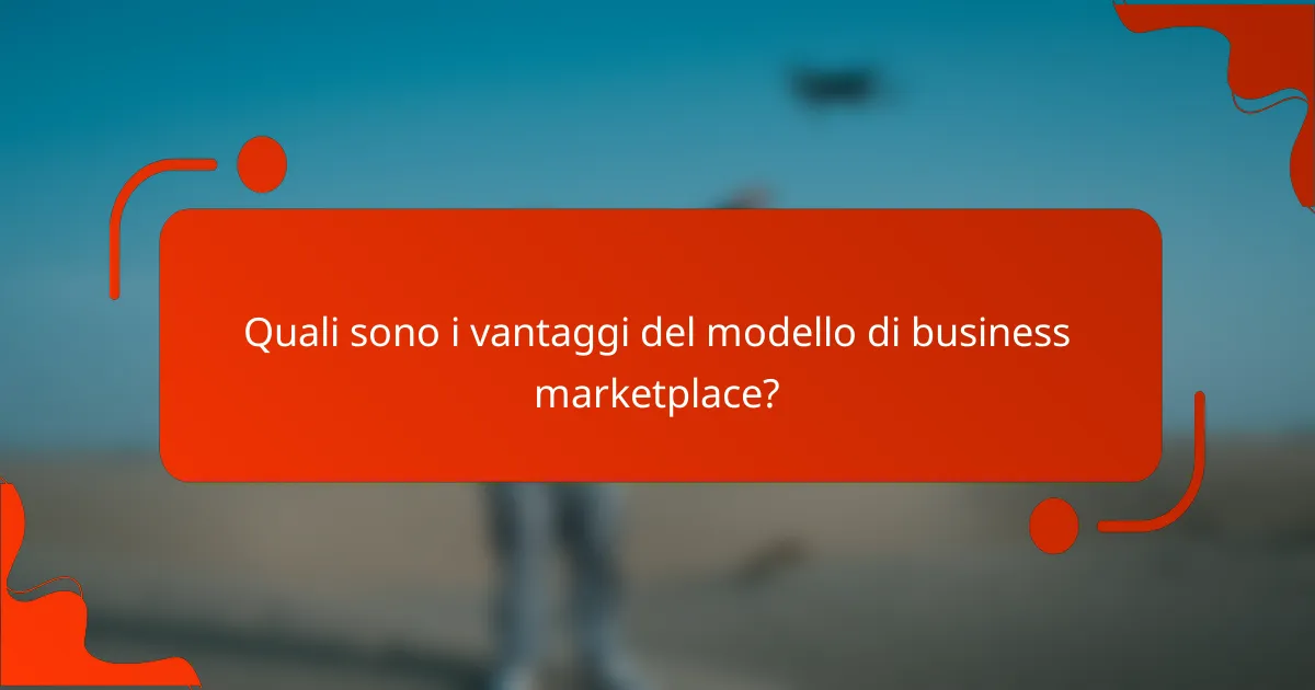 Quali sono i vantaggi del modello di business marketplace?