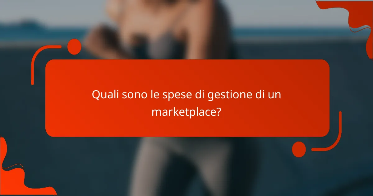 Quali sono le spese di gestione di un marketplace?