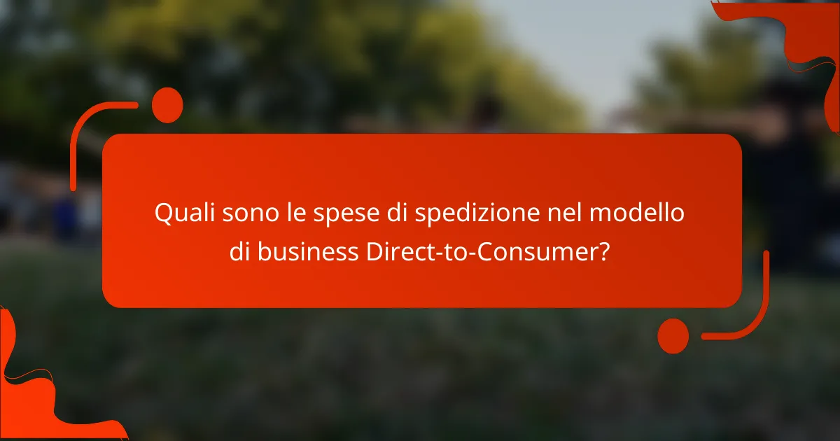 Quali sono le spese di spedizione nel modello di business Direct-to-Consumer?