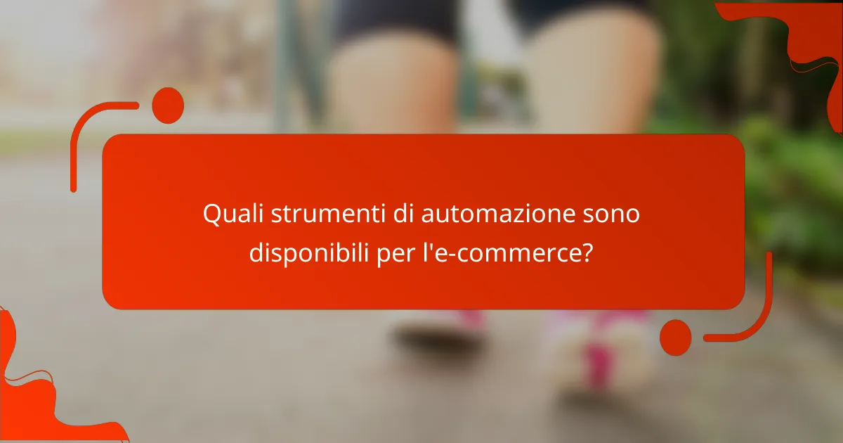 Quali strumenti di automazione sono disponibili per l'e-commerce?